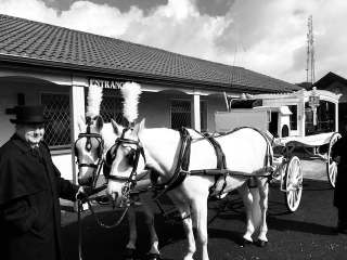 Horse and Carriage